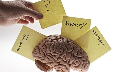 NLP学习之路：谈谈深度学习中记忆结构是如何设计和使用的？