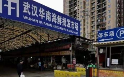新型冠状病毒来源于“野味”？新型冠状病毒究竟来源于哪种动物？