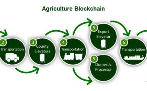 在我国农业现代化快速发展的过程中，引入区块链这一先进的技术也恰逢其时！