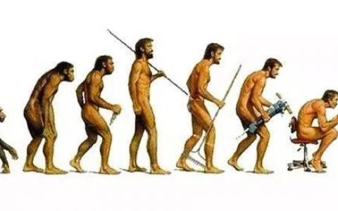 神经网络借鉴了生物学策略的相关理论知识，实现了大飞跃！