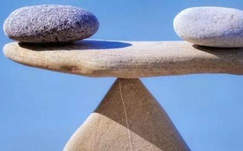 机器学习公平性的研究真的走在正确的道路上吗？