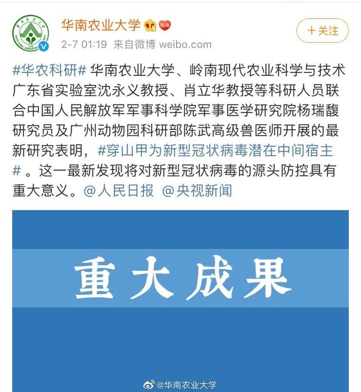 我们可能误会蝙蝠了，穿山甲或将是新冠肺炎的“罪魁祸首”?