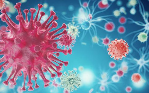 本次疫情尚未过去，但预测下一次大面积爆发疫情的实验室已在建设中！