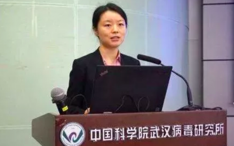 疫情爆发至今，武汉病毒研究所以各种方式出现在人们的视线！