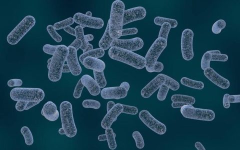 全球自然科学研究领域最著名期刊《细胞》最新论文发布：“A Deep Learning Approach to Antibiotic Discovery”！