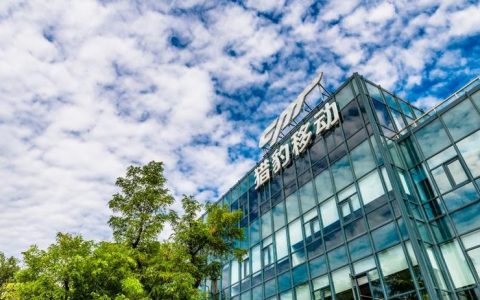 猎豹被Google“一刀切”，股票大受影响！