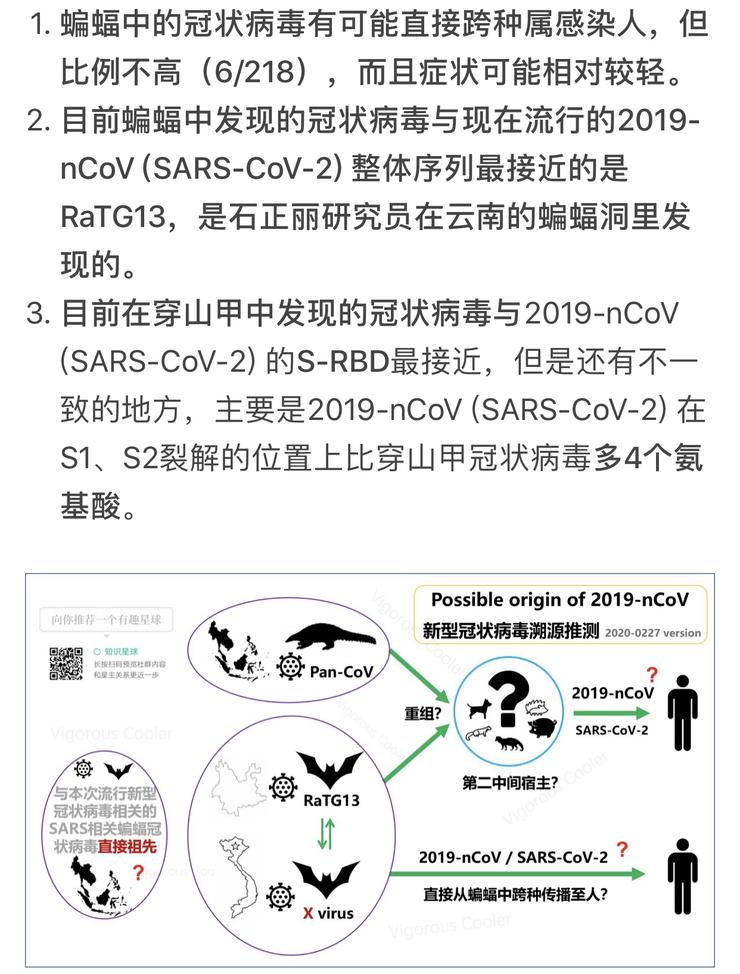 关于新冠肺炎发源地：“国外起源论”的几点推测！