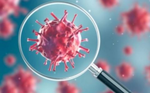 美国政府和苹果公司联合开发用于对抗新病毒的网站！