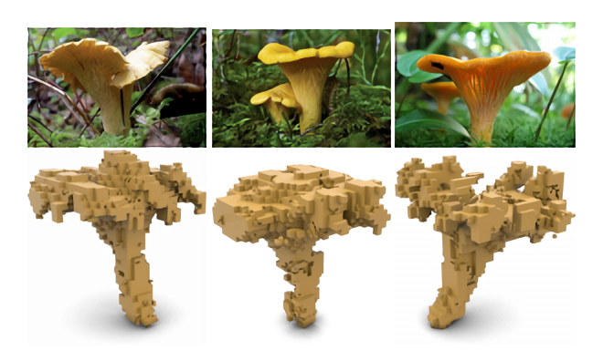 微软发布最新论文：在非结构化 2D 图像基础上生成 3D 形状图像！