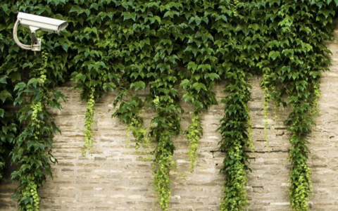 苏州科达公布了2019年年度业绩，同比下降71.84%！