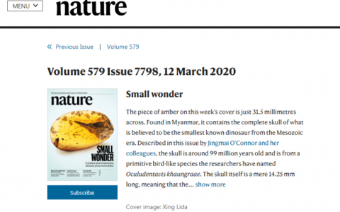 缅甸：白垩纪琥珀里发现最小带牙齿的鸟类恐龙！