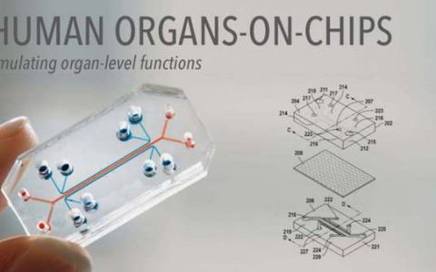 人工智能芯片已向医疗领域延伸，能加速新冠病毒肺炎的药物研发速度吗？