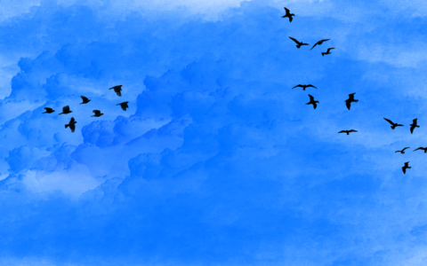 大华市场选择有四大方向，销售额10%用于人工智能研发！