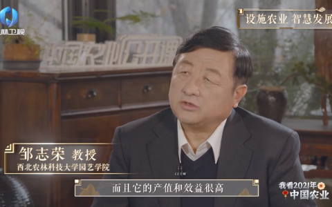 智慧农业，设施农业的发展方向和趋势！[视频]