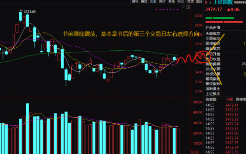 从资本环境与国家政策的方面分析数字货币和航海运输的未来！