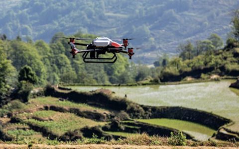 农业是AI落地的最好场景，数字化正在重塑乡村发展的新格局！