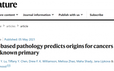 人工智能AI系统准确查找分析转移性肿瘤的起源！
