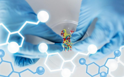 ai制药技术是干嘛的：从开发到临床，投资密集期后AI制药走向何方？