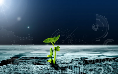 数字农业是什么？一文带你看懂！