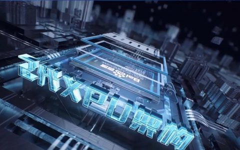 智能驾驶第6颗中国芯现身, 官方却淡化模糊处理！