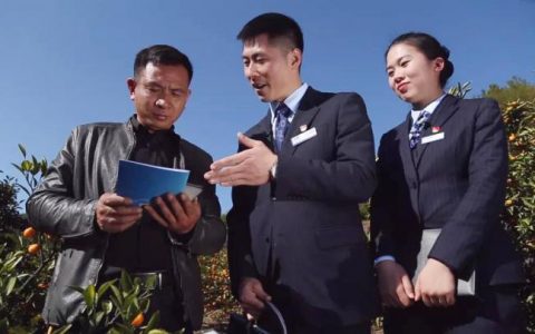 建设银行探索金融科技振兴农业现代化发展新方案！