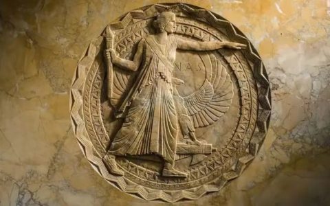 美国国家科学院公布2022年新一批当选的院士名单！