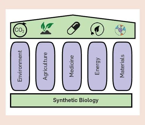 AI 与合成生物学「联姻」的五大挑战：技术、数据、算法、评估与社会学