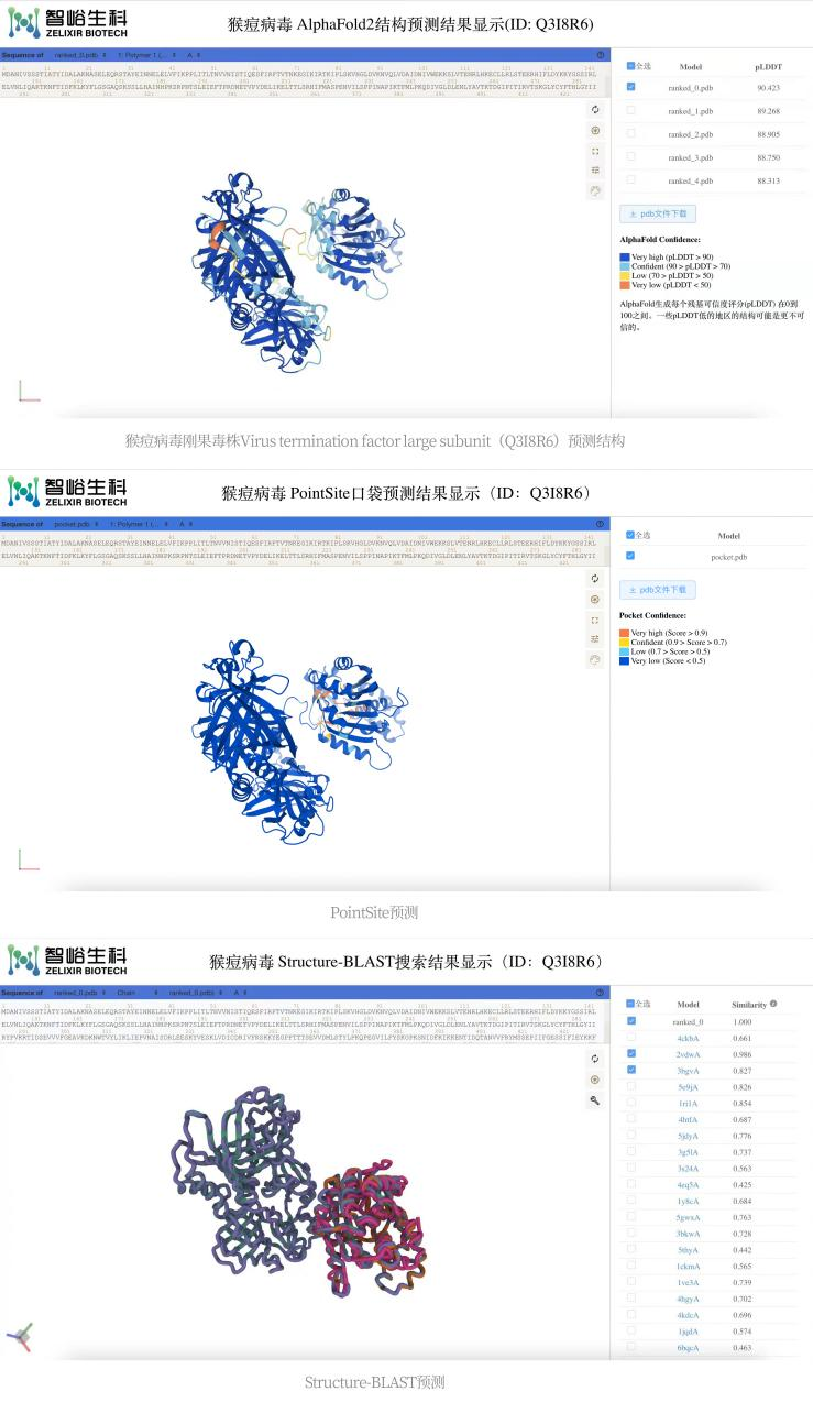 AI技术助力全球抗疫 智峪生科公布猴痘病毒全基因组蛋白质结构预测结果