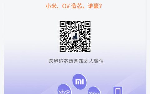 小米、OV 造芯，谁赢？