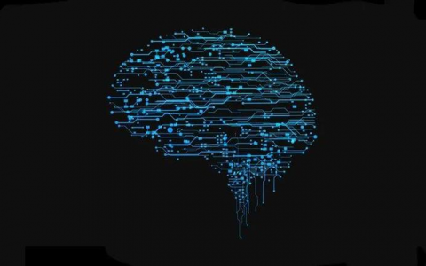 Michael Bronstein从代数拓扑学取经，提出了一种新的图神经网络计算结构！