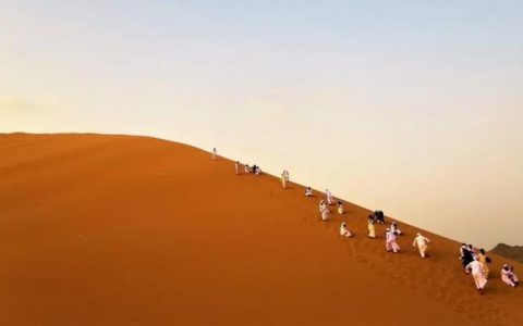 有技术，就能做好 Robotaxi 吗？