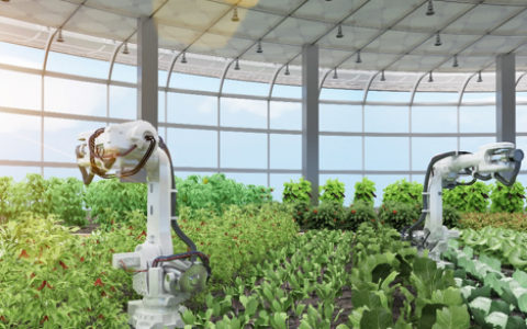 行业变革，5G+物联网药效几何？