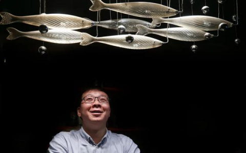 08年奥运「黑客」今何在？