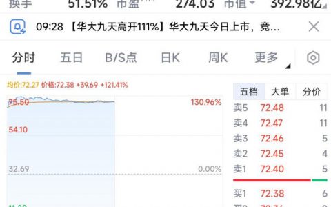 超募10亿元，发行市盈率创记录，华大九天上市大涨121%