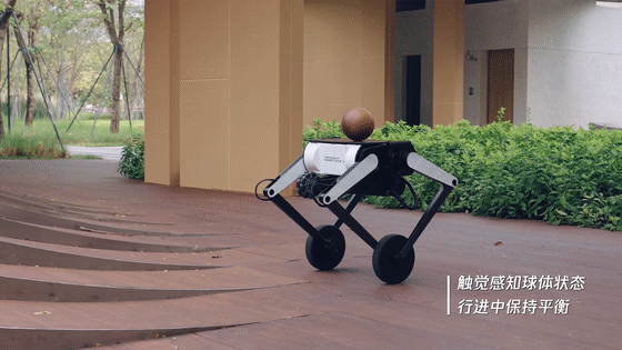 腾讯机器人“轮滑小子”Ollie升级，首次增加触觉感知，进化双轮迈步能力