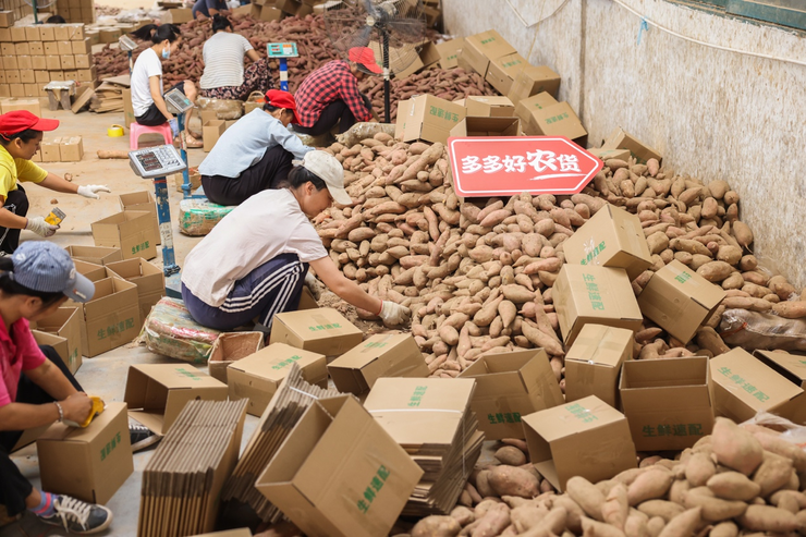 宜城红薯：新电商怎么“生生造出”一个新产业？