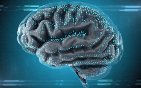 AI 从录音中快速诊断阿尔茨海默病和痴呆症