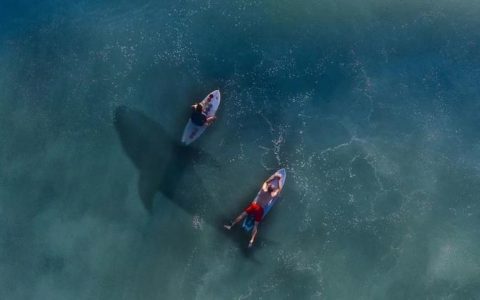 扒一扒让汽车更轻、更快、更智能的7大「颠覆性」技术