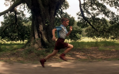 资本寒冬下，跑出了一家“非典型”高性能RISC-V公司