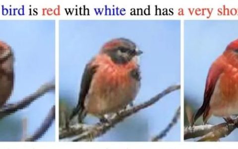 AI 画的一只鸟，啄开了京东云的技术大门