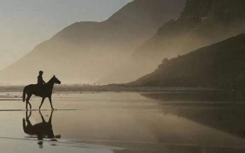 华为智慧公路军团或将与海关和港口军团合并