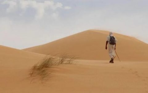 紧赶慢赶三年后，岚图起个大早赶个晚集？