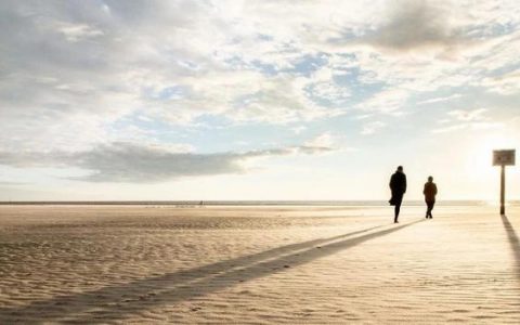 从广州车展看2023年中国车市：不念过去，不畏将来