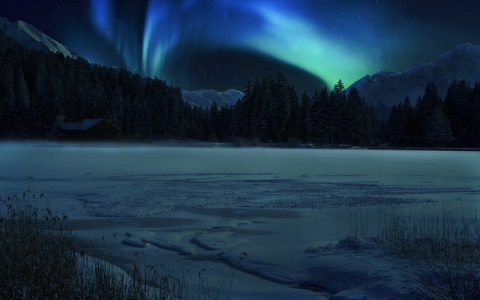 图机器学习无处不在，用 Transformer 可缓解 GNN 限制