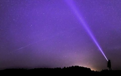 智加科技再度传来上市信号，否认中国业务并入挚途科技