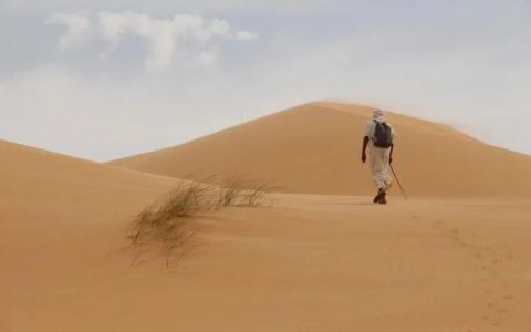 宁德时代「内外交困」