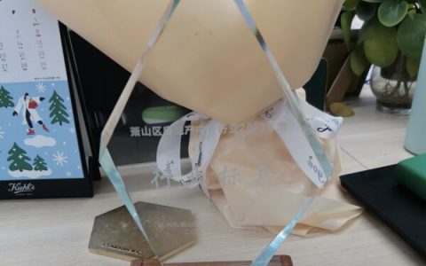 杭州链家获房地产中介行业“行业标兵”奖！