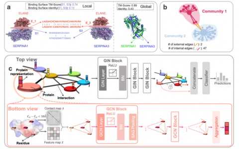 腾讯提出蛋白质研究AI模型，预测准确率刷新纪录，入选Nature子刊