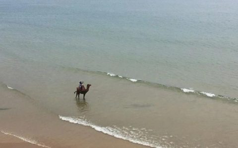 造车新势力尴尬的「出海成绩单」：小鹏月销1辆，蔚来两个月57辆