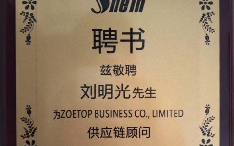 海外淘宝正式打响，SHEIN将如何做得更好？